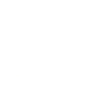 White Logo Česká astronomická společnost
