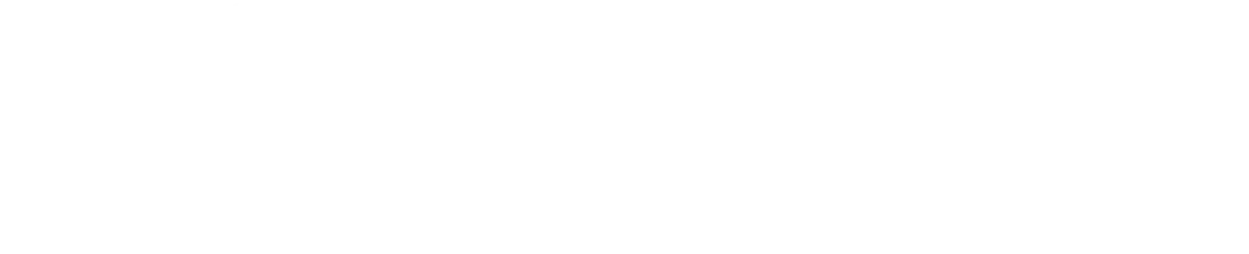 White Logo Senát Parlamentu ČR