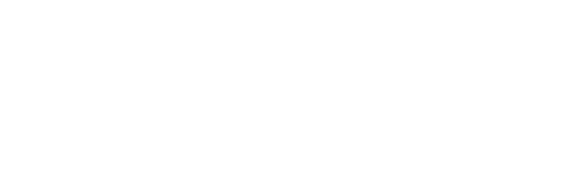 SIT port